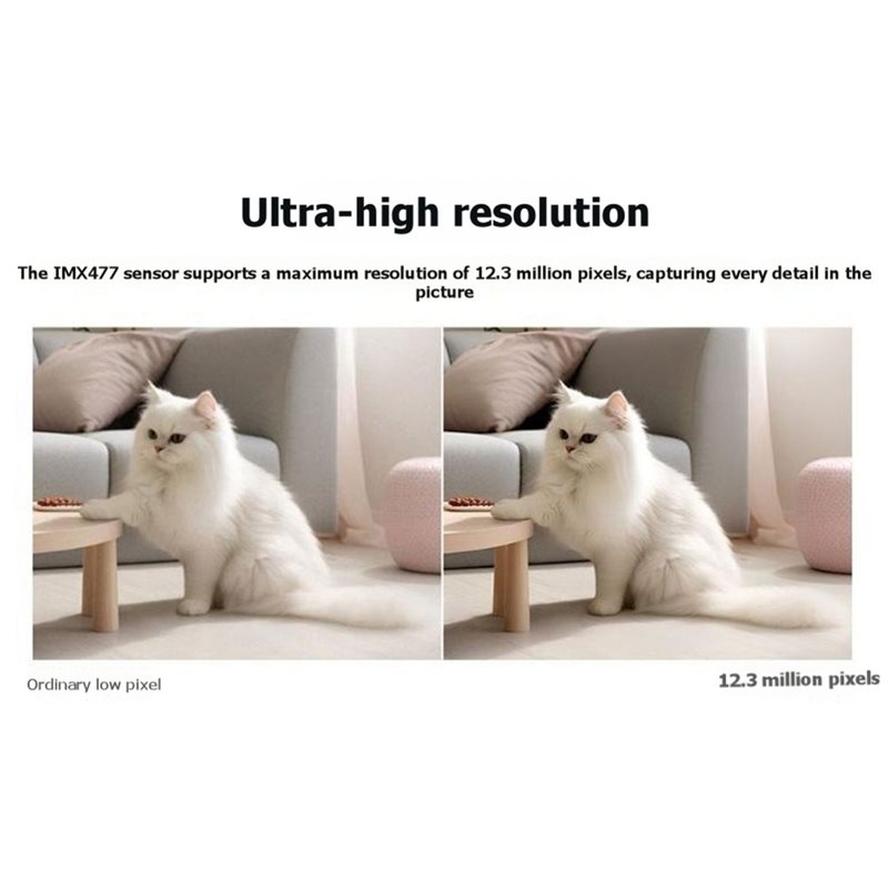 Modul Kamera IR-CUT T31C-IMX47 - Pi Camera Module ulasan dan harga